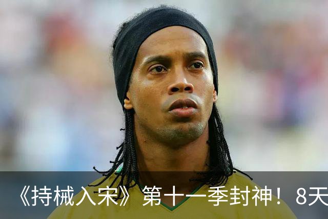 《持械入宋》第十一季封神！8天破城歼敌1.3万，林昭威震西北