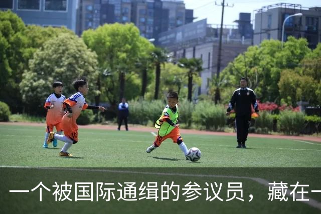 一个被国际通缉的参议员，藏在一个政府不敢去抓的地方