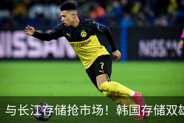 与长江存储抢市场！韩国存储双雄紧急扩产！