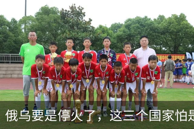 俄乌要是停火了，这三个国家怕是会灭亡了？就算不灭亡，日子也不会好过