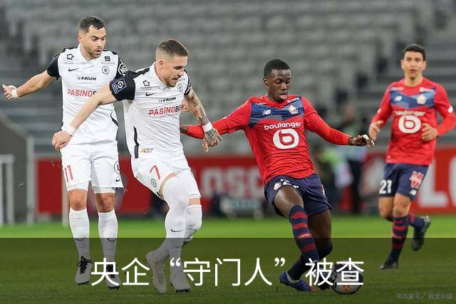 央企“守门人”被查