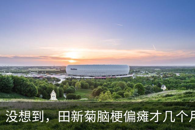 没想到，田新菊脑梗偏瘫才几个月，小天赐一家又迎来另一大坏消息