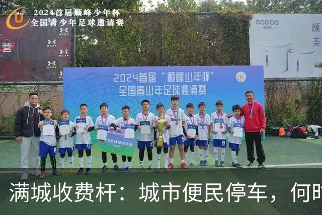 满城收费杆：城市便民停车，何时沦为全民“硬收割”？