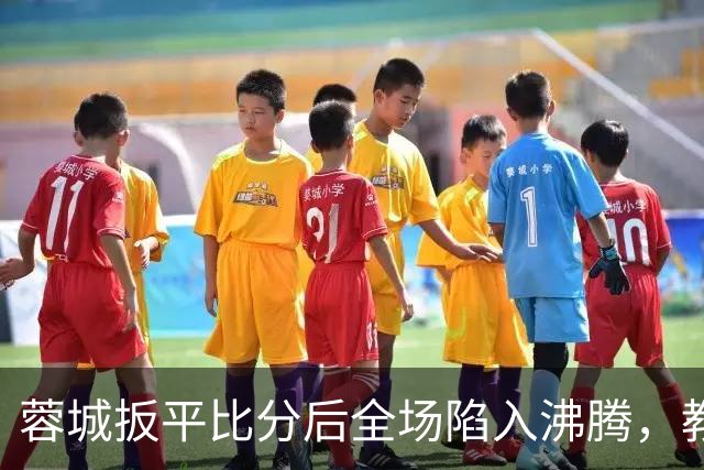 蓉城扳平比分后全场陷入沸腾，教练组冲入场内庆祝